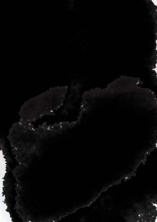 Cells
